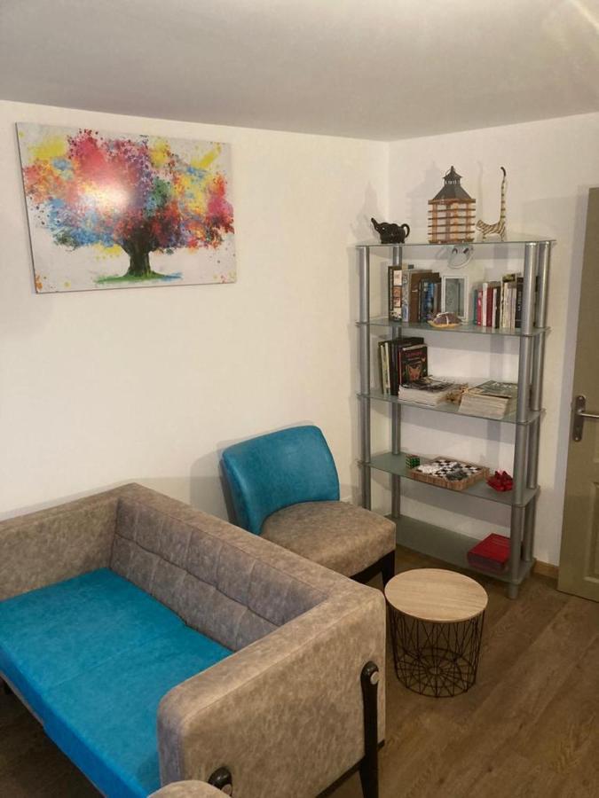 Appartement Plein Pied 45 M2 Baccarat Exteriör bild